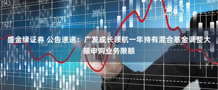 盛金缘证券 公告速递：广发成长领航一年持有混合基金调整大额申购业务限额