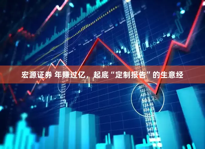 宏源证券 年赚过亿，起底“定制报告”的生意经